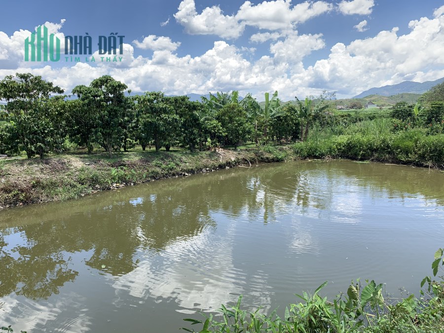 Bán 10ha đất trồng cây lâu năm tại Thành Lập , Lương Sơn, Hòa Bình