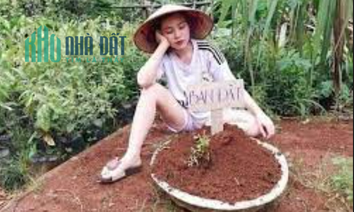 Bán đất Ỷ La – Dương Nội, Gía rẻ nhất thị trường , 53m, 2.6 tỷ