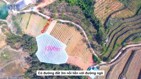 Cơ hội sở hữu mảnh đất khoảng 1200m2 tại thôn Giàng Tra giá đẹp phù hợp để đầu tư