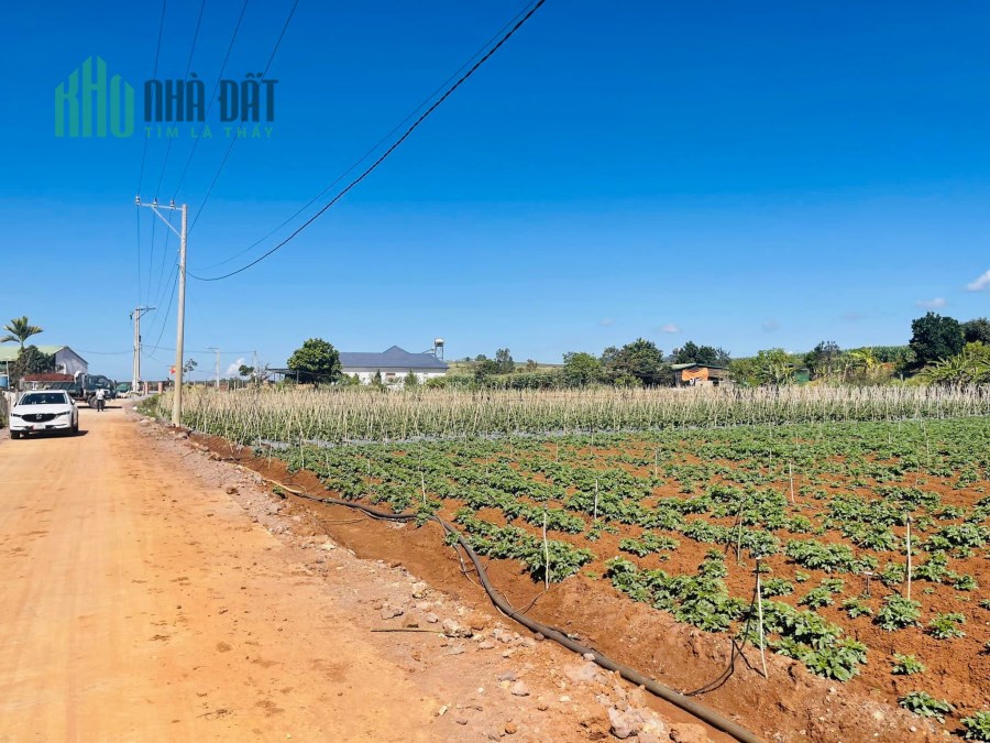 Chính chủ bán 1000m2 đất nghỉ dưỡng  view sông Đa Nhim tại Đạ Ròn - Đơn Dương - Lâm Đồng