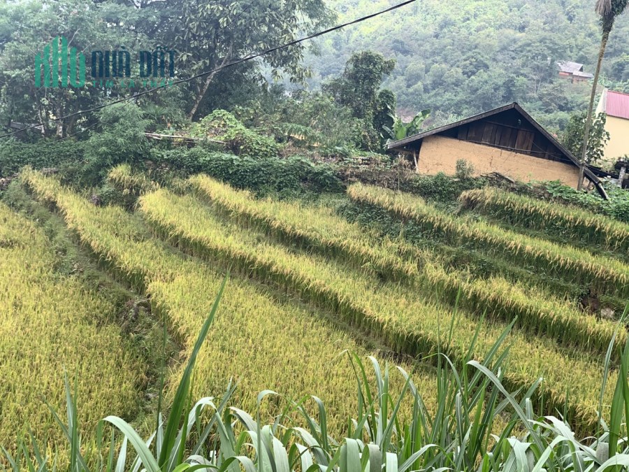 Cơ Hội Đầu Tư Sinh Lời Rõ Rệt Nhất Cho Khách Hàng. ĐỪNG BỎ LỠ !!!