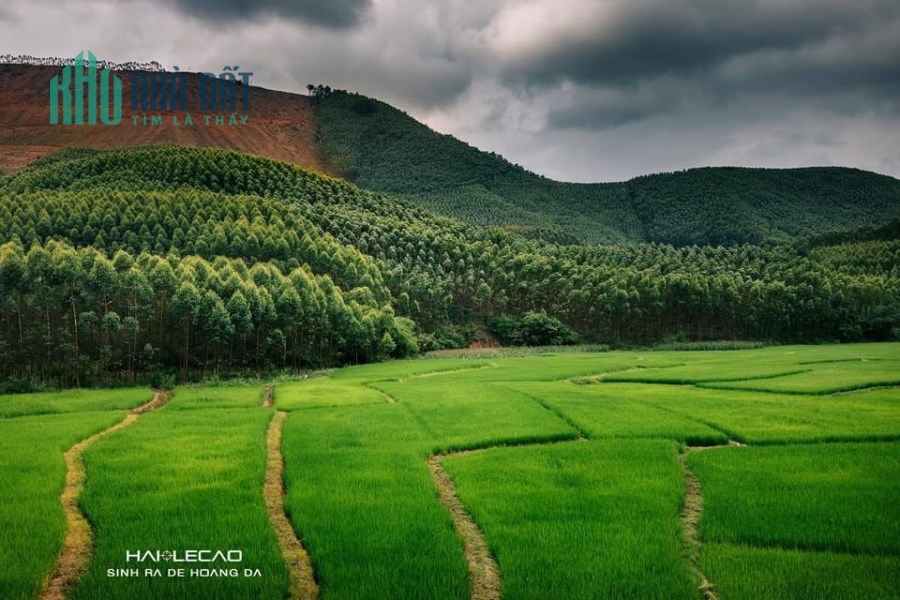 HÀ GIANG -- ĐIẾM ĐẾN TIỀM NĂNG CHO CÁC NHÀ ĐẦU TƯ.