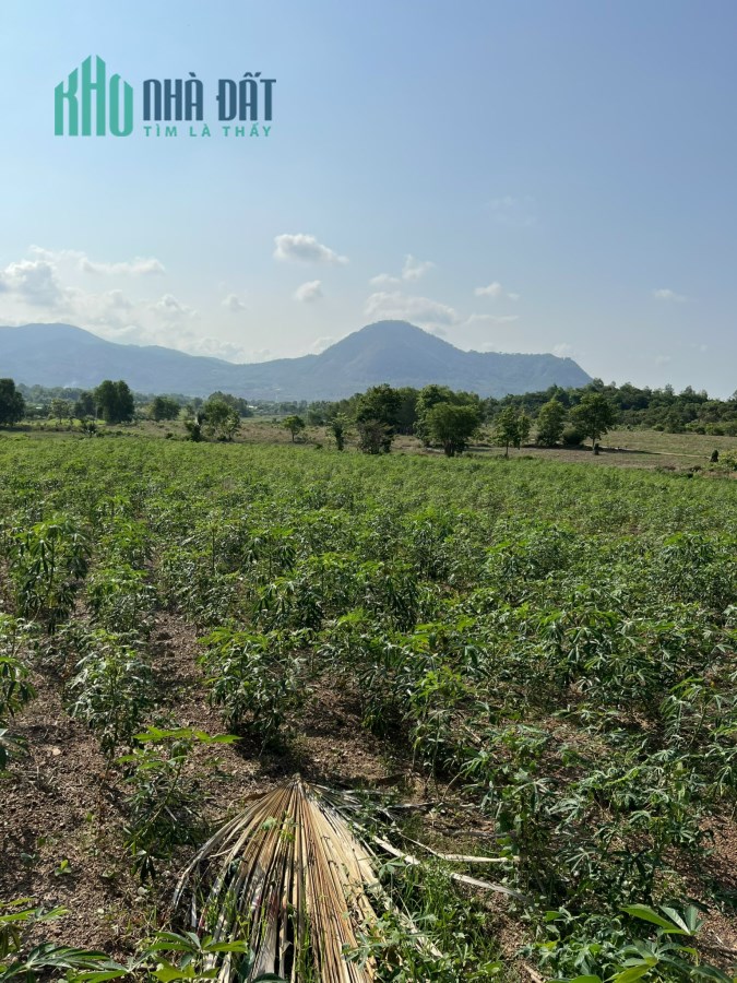 KP 4 Tân Nghĩa 3 mẫu 8 tỷ 2 mặt tiền