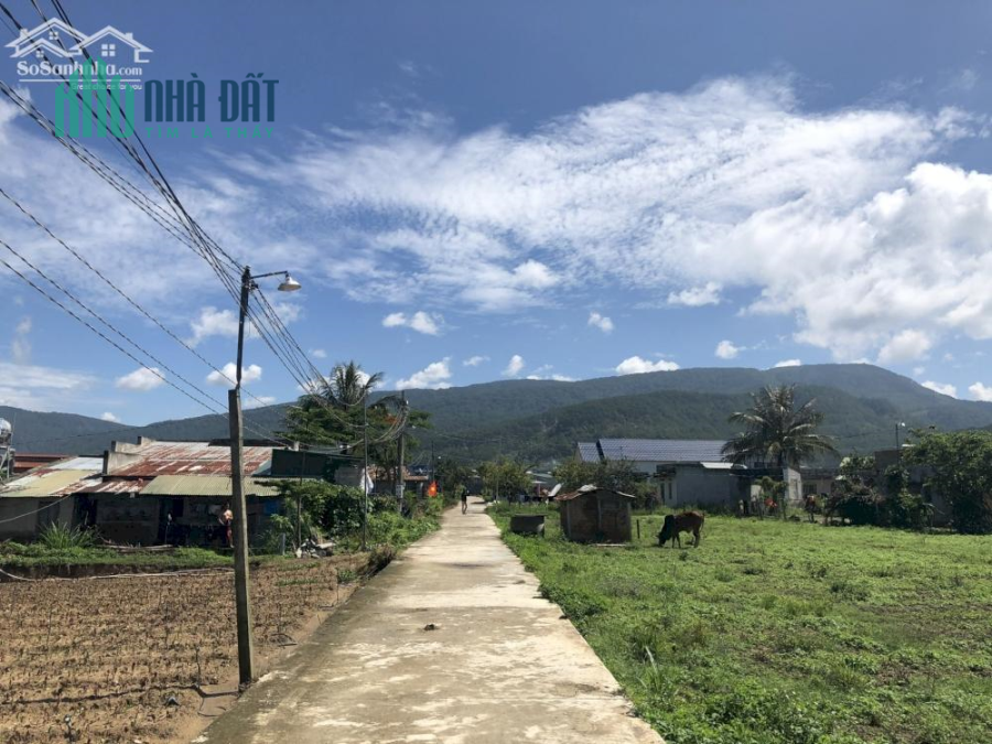 BÁN 2 SÀO ĐẤT CÓ THỔ CƯ, 78M MẶT TIỀN, TẠI ĐƠN DƯƠNG, LÂM ĐỒNG
