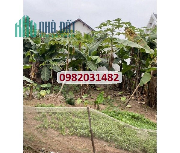 Chính chủ bán đất tại đường Nghĩa Bình, Yên Nghĩa, Hà Đông, 1,7 tỷ, 0982031482