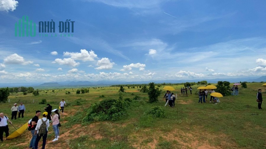 Bán gấp 4 sào Hồng Thái, Gần liên huyện sân bay