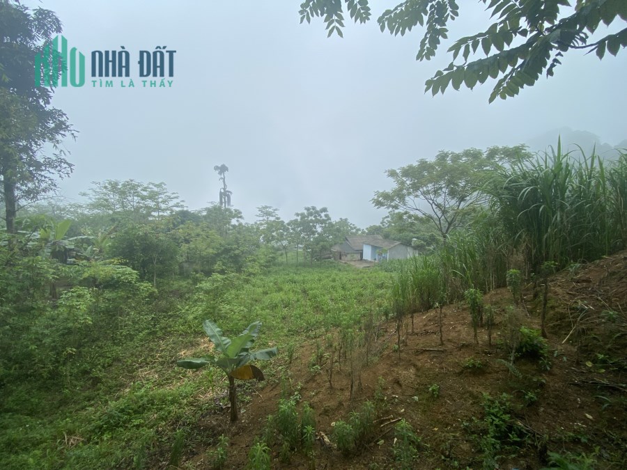 Lô đất vừa tại trung tâm Quản Bạ phù hợp đầu tư đón sóng cao tốc Hà Giang - Tuyên Quang
