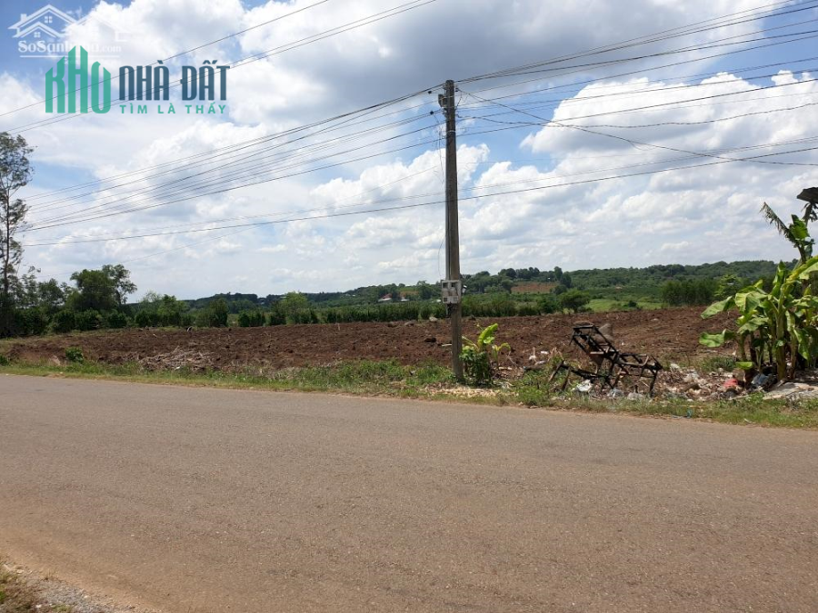 ️ ĐẤT MẶT TIỀN PHƯỚC BÌNH ️ LONG THÀNH ️GIÁ 3 TRIỆU/M2 ⭐THỔ CƯ 300M2⭐