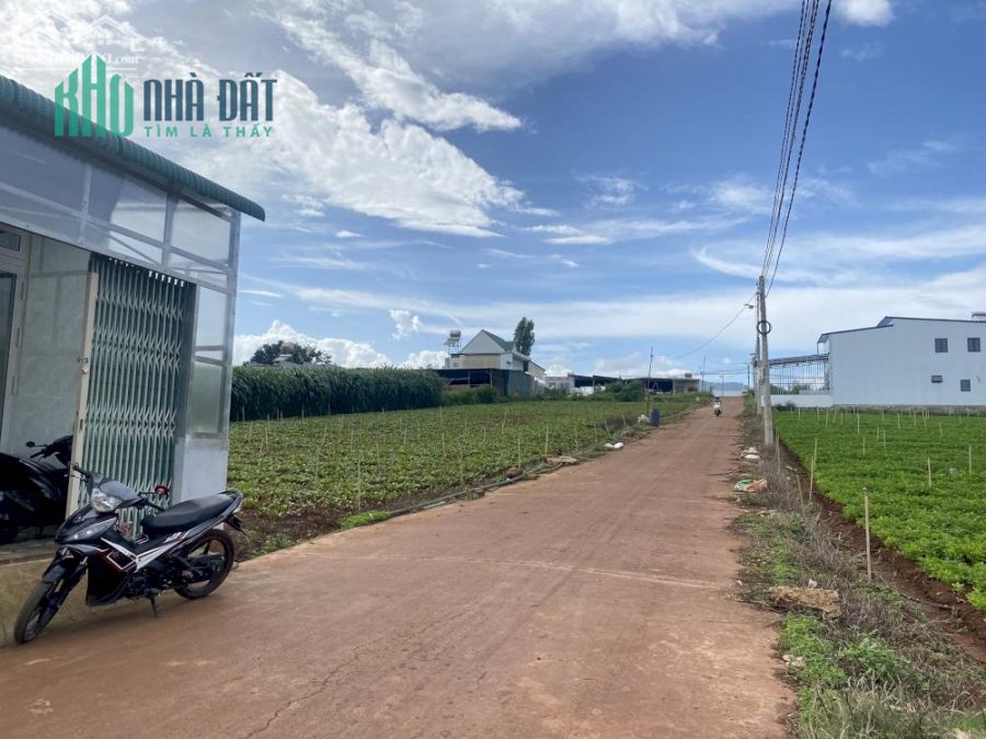 Bán lô 5x23m sẵn thổ cư cách đường Bồng Lai - Đạ Ròn chỉ 200m giá 830 triệu