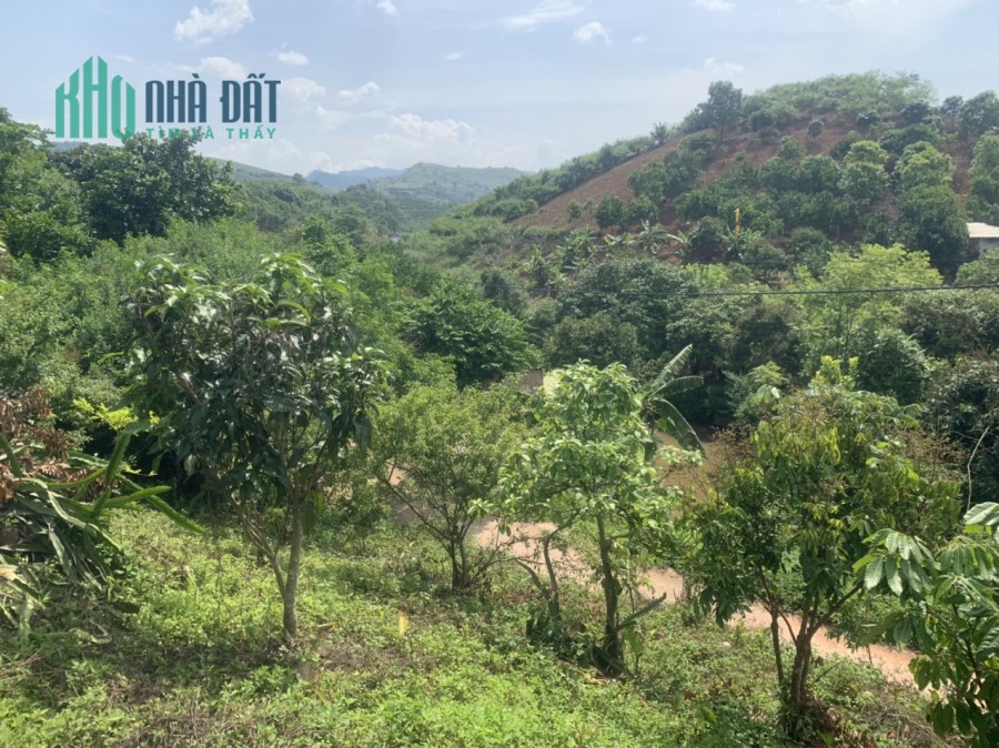 Đất nền Chiềng Sơn - Mộc Châu (1477m2). Đón sóng đầu tư cao tốc Hòa Bình - Mộc Châu