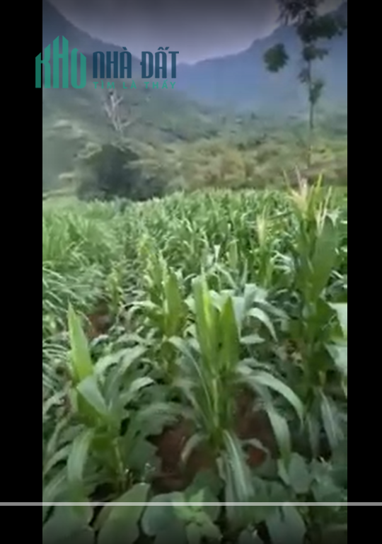 Mảnh đất nằm trên trục đường DT181, Hà Giang thích hợp đầu tư