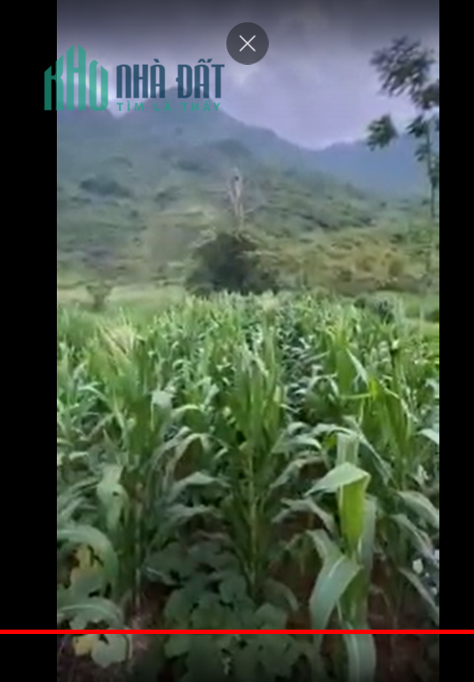 Mảnh đất nằm trên trục đường DT181, Hà Giang thích hợp đầu tư