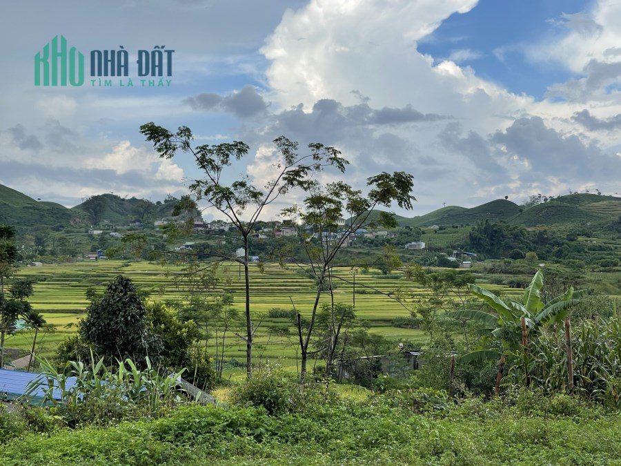 Cần bán cắt lỗ mảnh đất rộng hần 3000m2 tại Mộc Châu thích hợp  mô hình homestay, trang trại