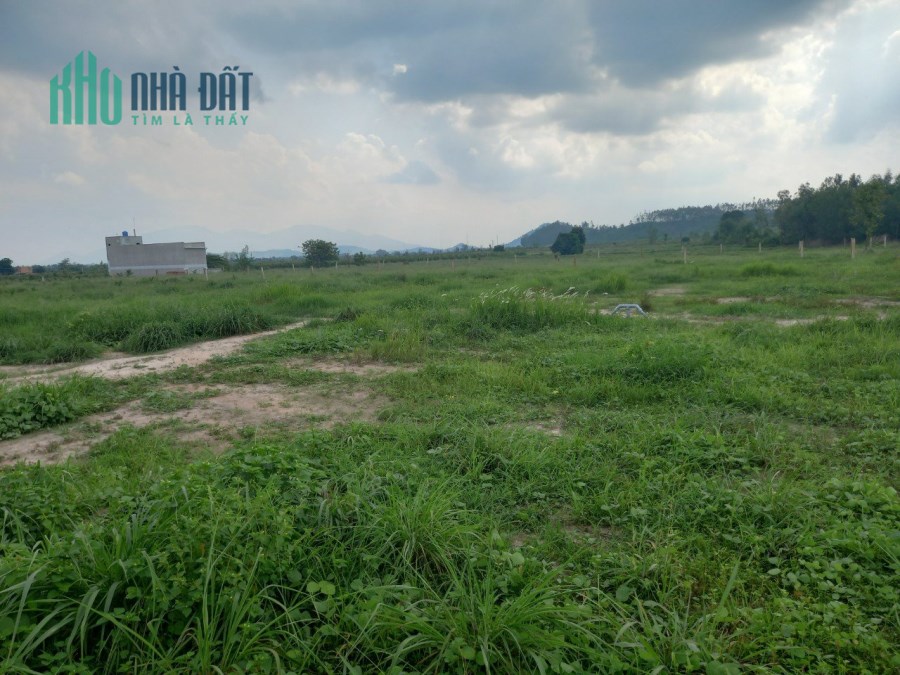 Đất BDS Tân Nghĩa Hàm Tân 3,45 sào 1,6 tỷ