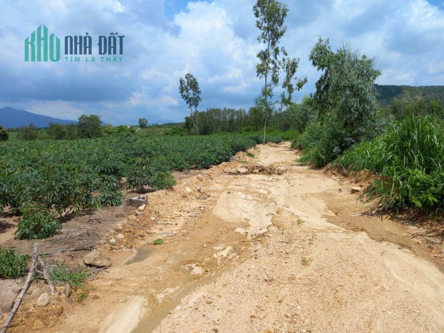 Tân Phúc Hàm Tân Bình Thuận 1 mẫu 3,8 tỷ