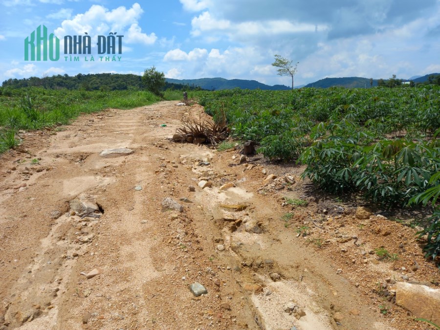 Tân Phúc Hàm Tân Bình Thuận 1 mẫu 3,8 tỷ