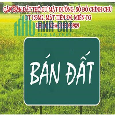 Cần bán đất thổ cư mặt đường 39 Trần Điền, P.Định Công, Hoàng Mai, 300tr/m2; 0983093989