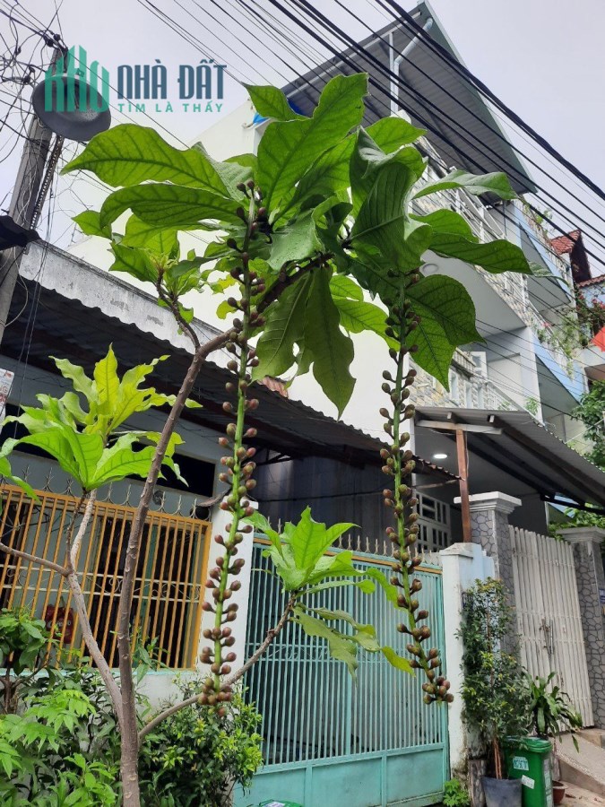 Nhà HXH đường lã xuân oai tăng nhơn phú A, diện tích 87m cấp 4 khu trung tâm