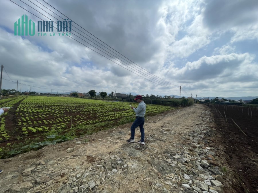 Bán lô đất đường Quốc Lộ 20, Thị Trấn Liên Nghĩa, Đức Trọng, Lâm Đồng;