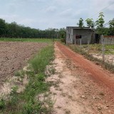 Tấn có lô đất ngang 10m, có thổ cư, dân đông, thích hợp cho anh chị đầu tư.