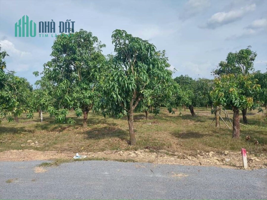 Bán lô đất sào 19x72 sổ hồng riêng giá chỉ 370tr