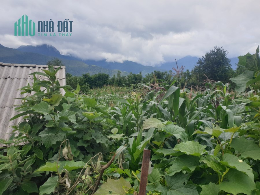 Đất Nền Y Tý - SAPA2. Đón Sóng Sân Bay, Đón Sóng Quy Hoạch Giá Siêu Rẻ