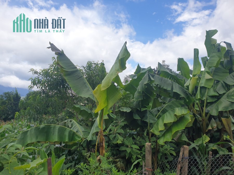 Đất Nền Y Tý - SAPA2. Đón Sóng Sân Bay, Đón Sóng Quy Hoạch Giá Siêu Rẻ