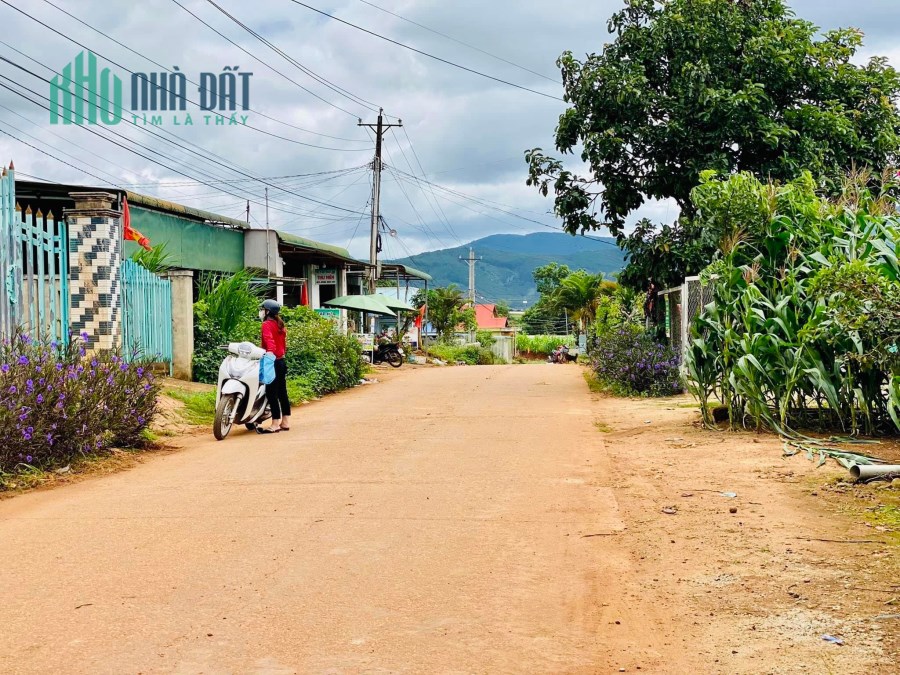 1300m2, 100m2 thổ cư đất sào tặng kèm nhà trên đất tại Tu Tra, Đơn Dương, Lâm Đồng.