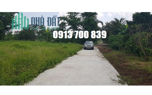 Bán 4380,7m2 đất xã Cẩm Đường, Long Thành, đường bê tông, ô tô vào tận nơi, 0913700839
