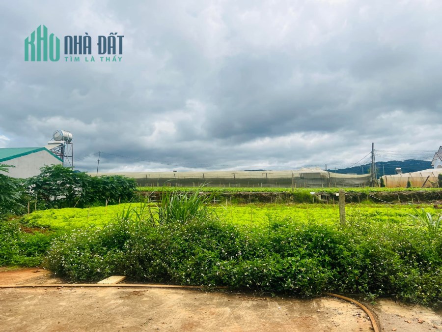 Đất nghỉ dưỡng 141m2, 104m2 thổ cư chỉ 920tr tại Đạ Ròn, Đơn Dương, Lâm Đồng.