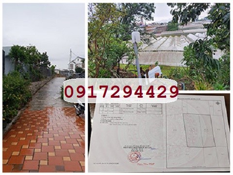 Chính chủ Bán đất nông nghiệp Khu dân cư Võ Trường Toản, P.8; TP.Đà Lạt; 0917294429