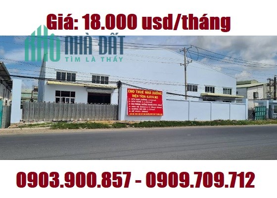 Cho thuê văn phòng - nhà xưởng mới 100% mặt tiền đường Mỹ Hạnh Nam, Đức Hoà; 0909709712
