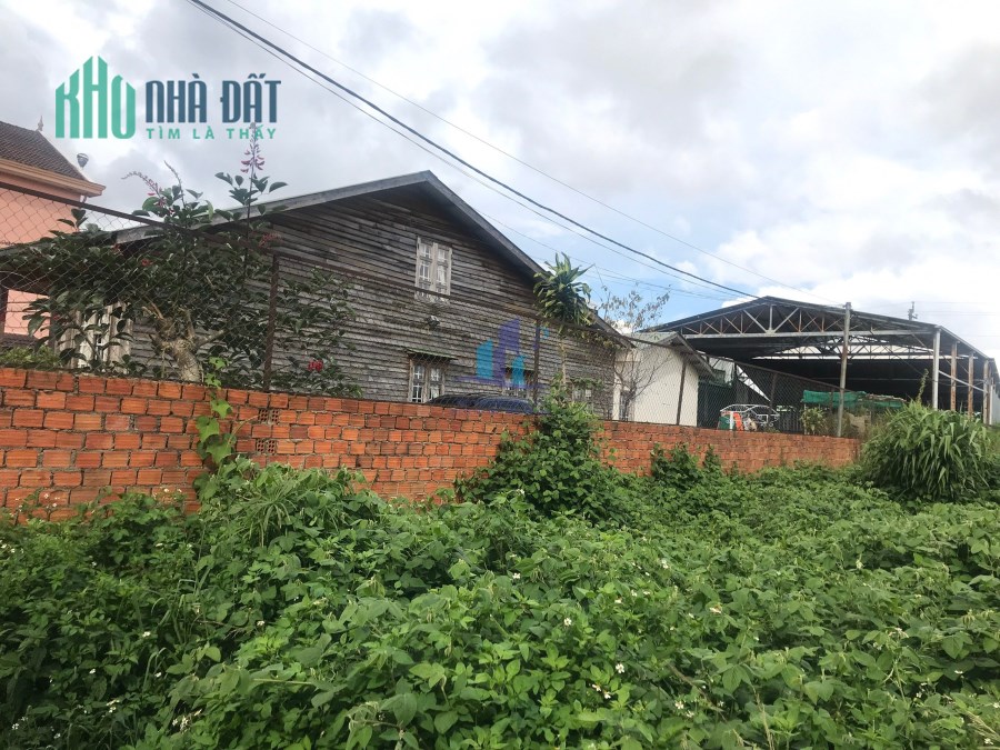 Đất Ngô Tất Tố - P.8 - TP.Đà Lạt