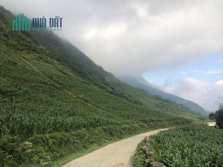 Bán nhanh mảnh đất tại Sapa-view thung lung Mường Hoa siêu đẹp