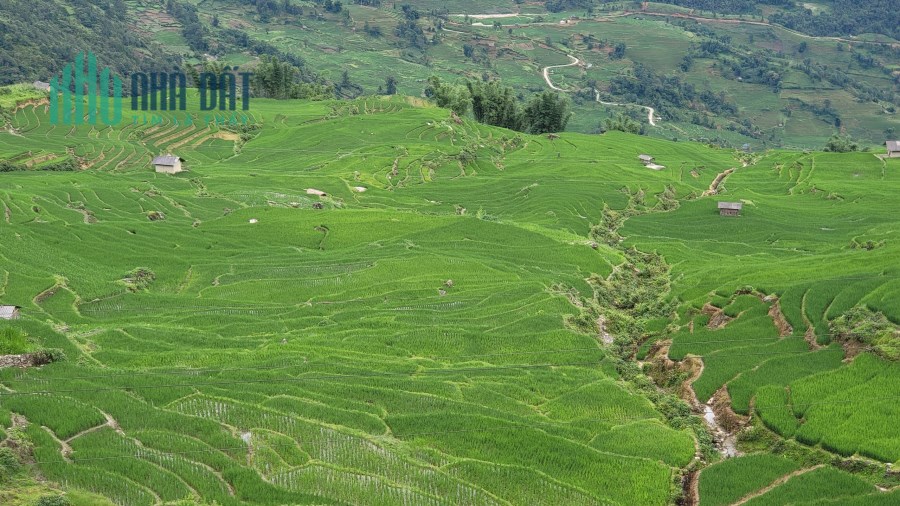 Chuyển nhượng lô đất du lich, Ngải Thầu, Y Tý - SAPA2