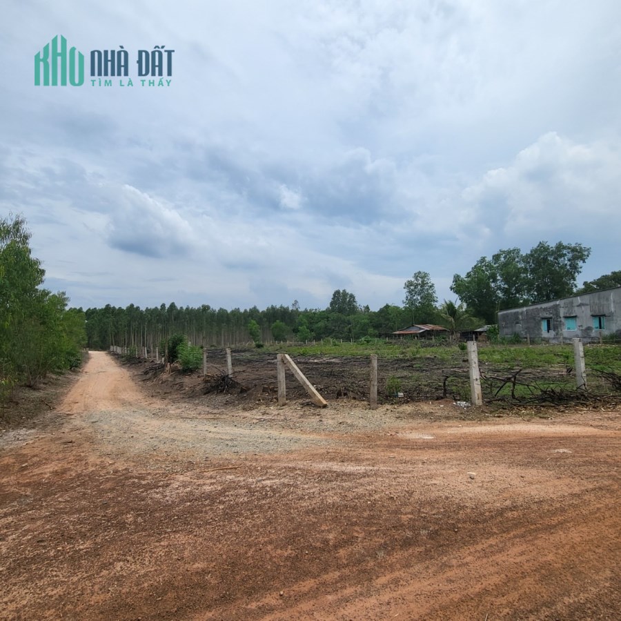 Chính Chủ 4 Sào Đất 3 MT Đường, 100m*40m, Tân Xuận, HTân Full Hồng, 80tr/mngang
