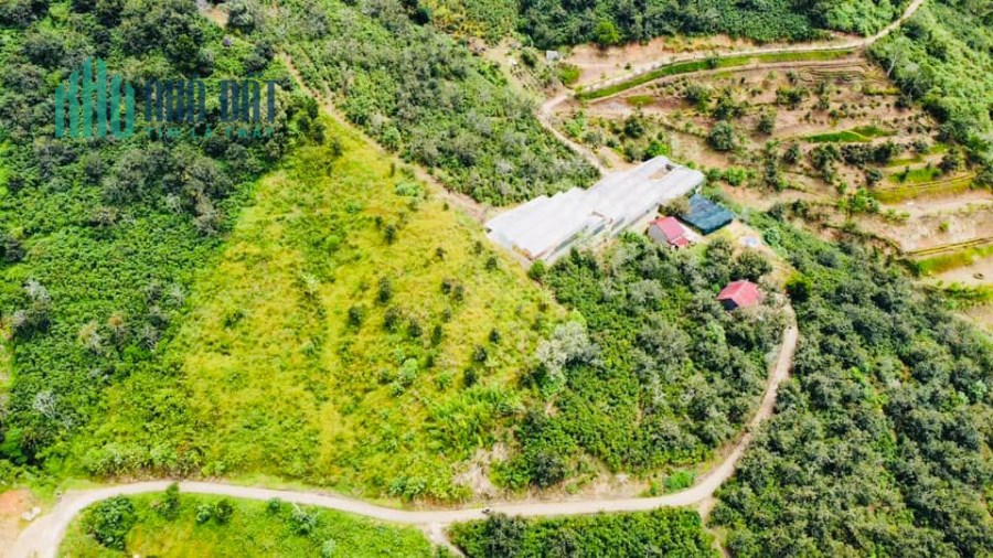 Đất nghỉ dưỡng view săn mây 500m2 tại Trạm Hành, Lâm Đồng