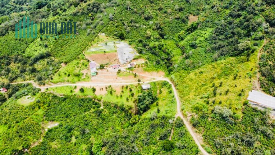 Đất nghỉ dưỡng view săn mây 500m2 tại Trạm Hành, Lâm Đồng