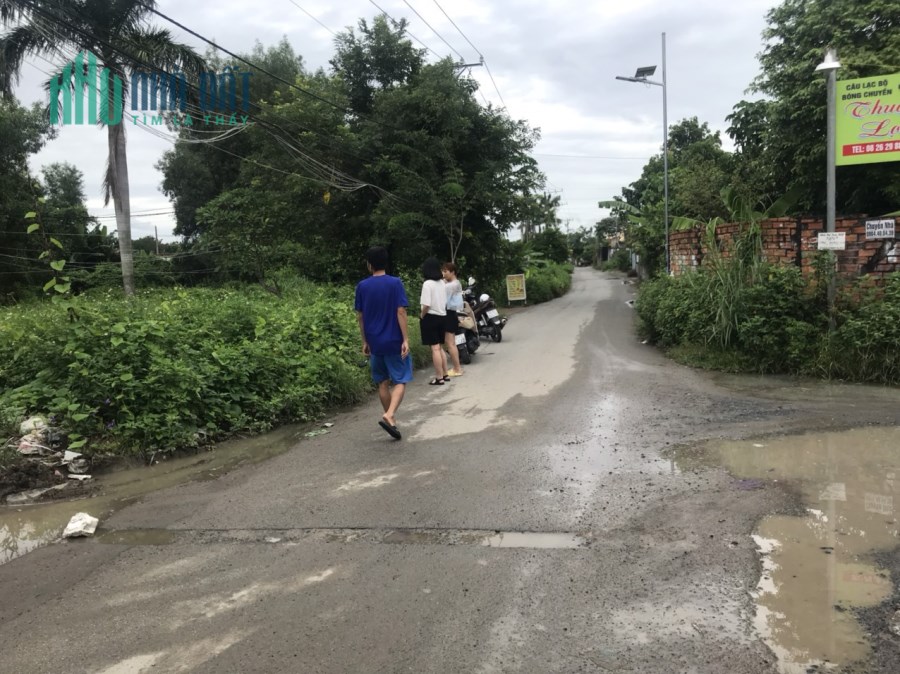 đường Bùi Hữu Nghĩa, P.Tân Hạnh, Biên Hoà;