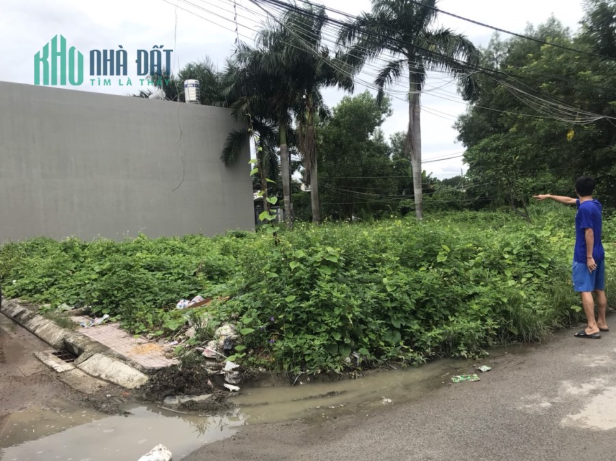 đường Bùi Hữu Nghĩa, P.Tân Hạnh, Biên Hoà;