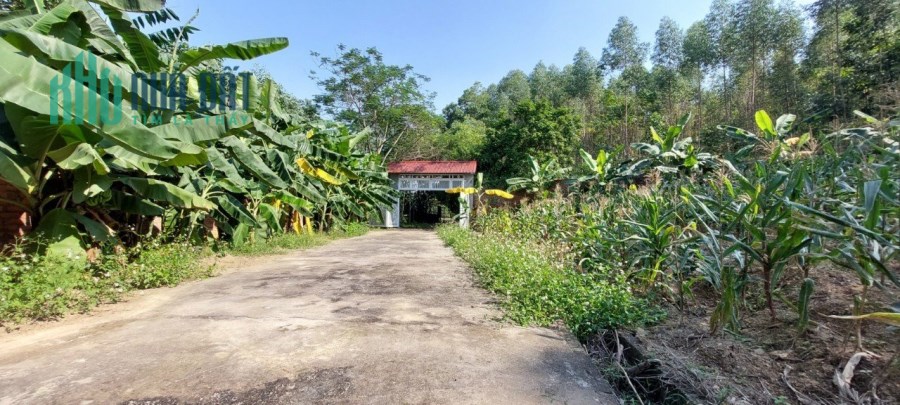 Cần bán lô đất có diện tích rộng khoảng 5000m2 tại trung tâm thành phố Việt Trì ngay sát đền Hùng