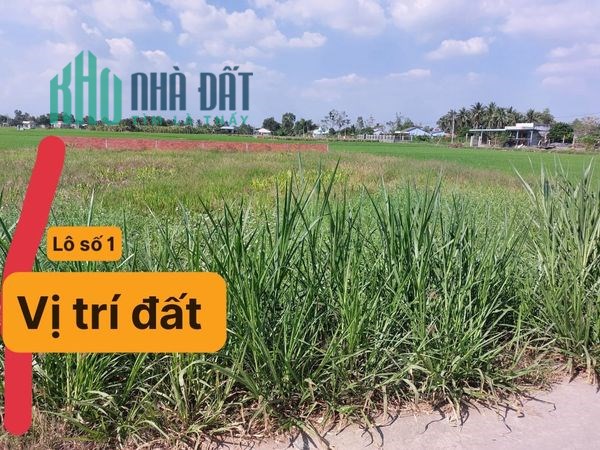 Cần bán Đất Thổ 135m2 MT Đường nguyễn thị lầu Tân trụ.Giá re3