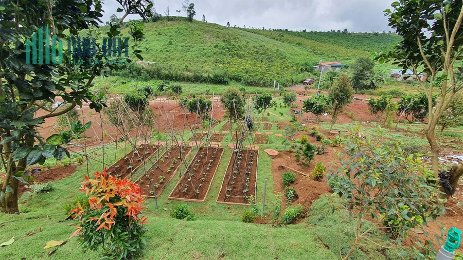 Đất Nền Bảo Lộc, Lâm Đồng – Vị trí độc bản, view hồ tuyệt tác giữa đại ngàn xanh ngát