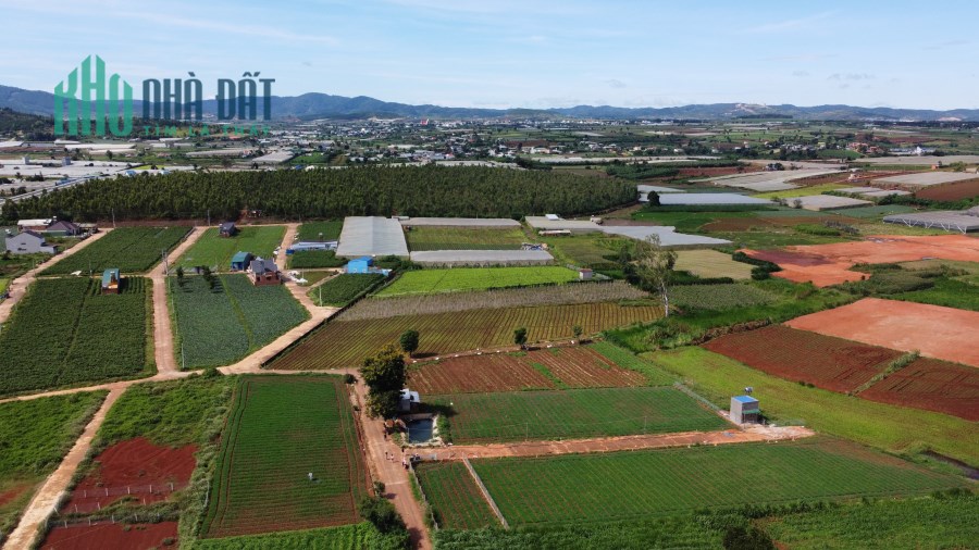 Chủ cần bán lô đất Ven Đà Lạt hai mặt đường giá rẻ ngay trung tâm