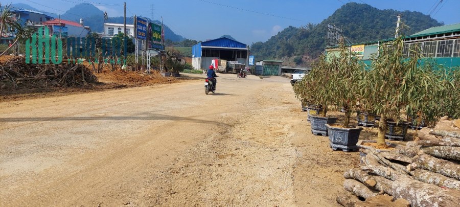 Chính chủ Thanh Lý Đất Chiềng Đi, TT Nông Trường, 5000m, View TK Hoa Ban