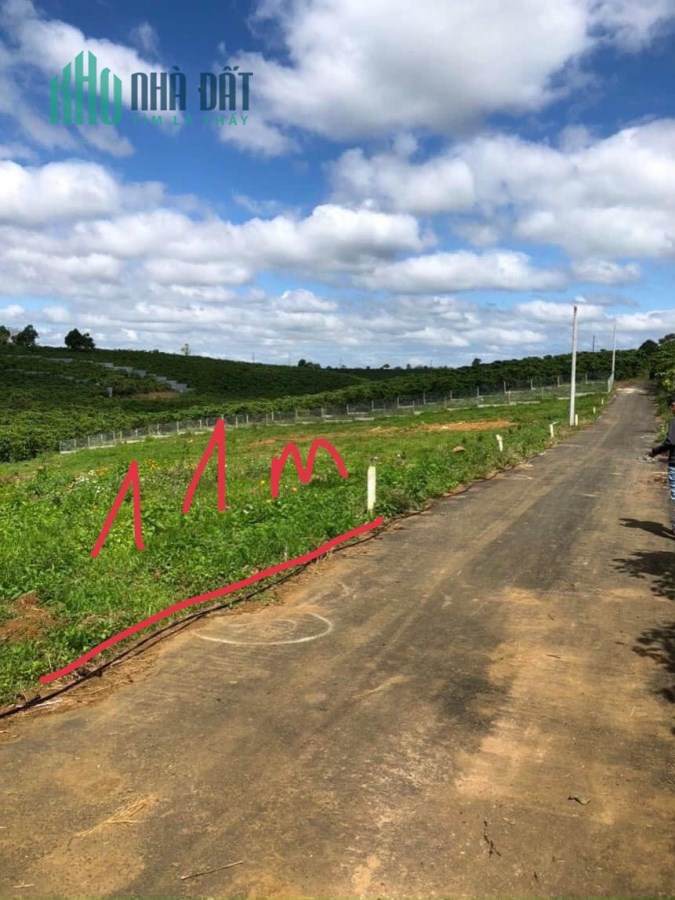 Đất Lộc Phát đầu tư giá mềm , chủ sài gòn muốn bán ra 11x50m