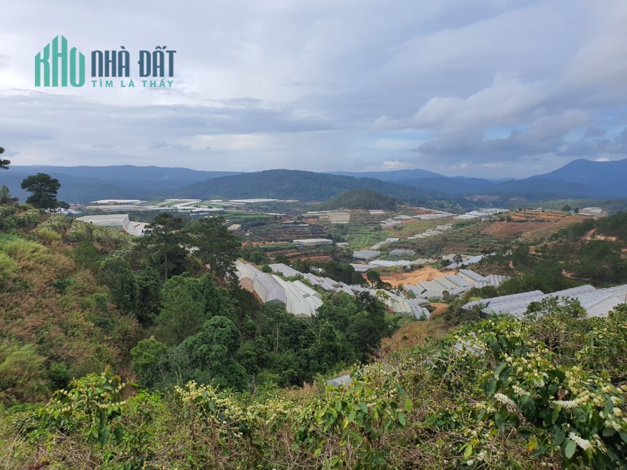 Chính chủ cần bán hơn 3000m2 đất view đẹp