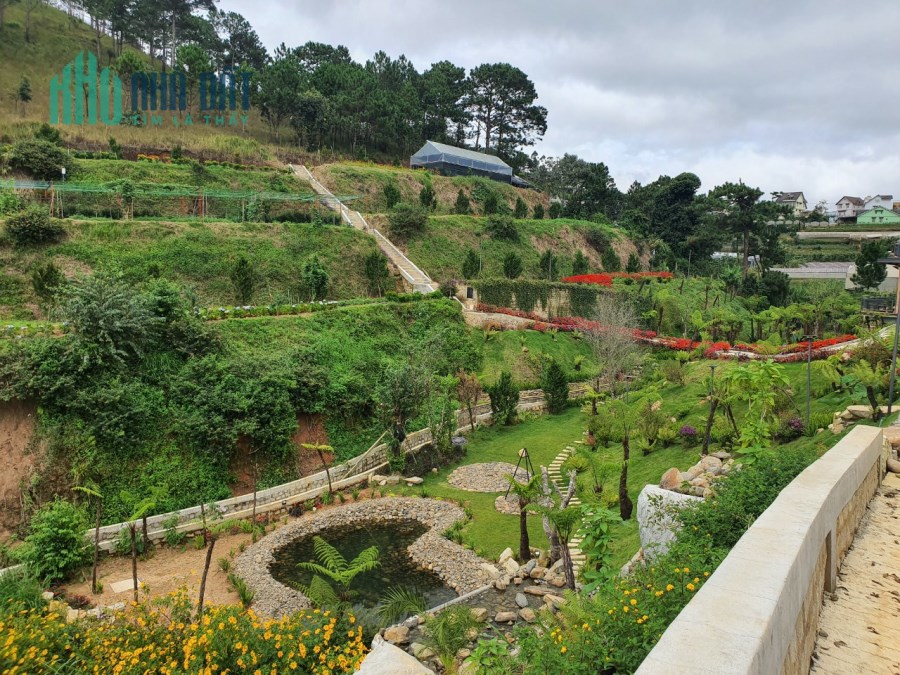 Chính chủ cần bán hơn 3000m2 đất view đẹp