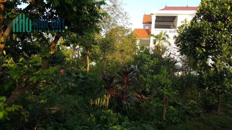 Chính chủ cần bán biệt thự trang trại hơn 3000m2 tại  Việt Trì Phú Thọ