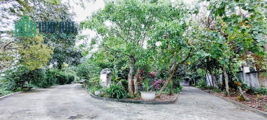 Chính chủ cần bán biệt thự trang trại hơn 3000m2 tại  Việt Trì Phú Thọ